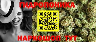 mix Кингисепп