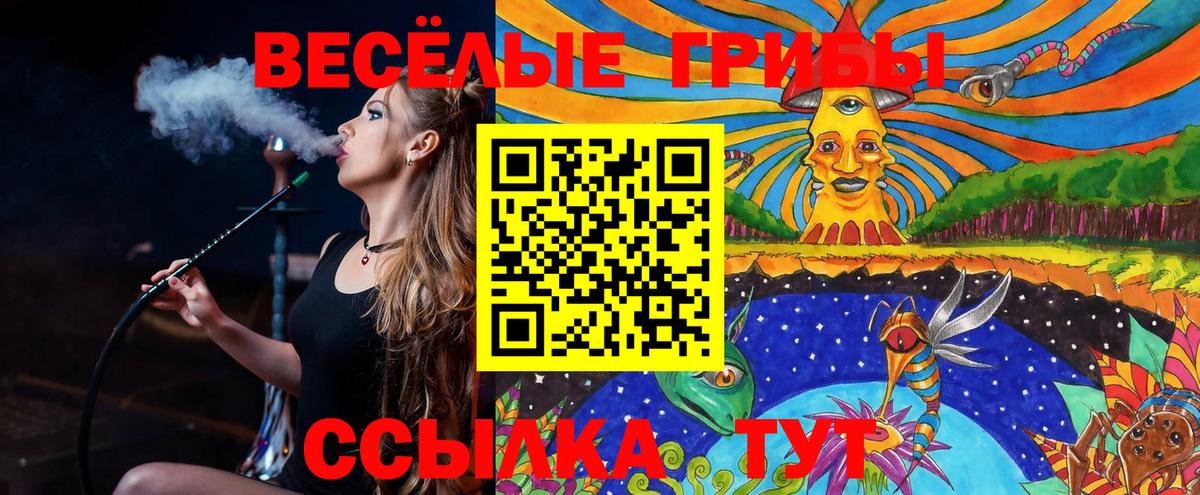 Галлюциногенные грибы мухоморы Фрязино