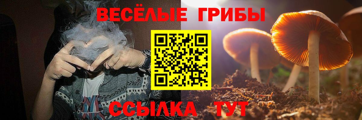 где можно купить   Вход с VPN  Фрязино  Галлюциногенные грибы мицелий 